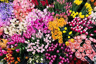 新《VR女友》女主模型大升级 造型更加可爱了