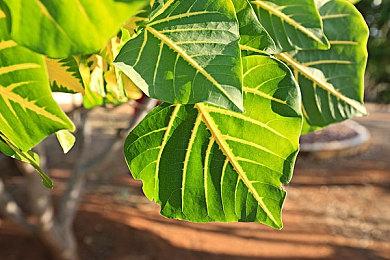 游戏制作软件RPG制作大师Unite全新功能 高清分辨率等