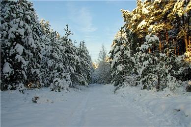 腾讯又要出手了 欲出资3.53亿美元收购Crytek